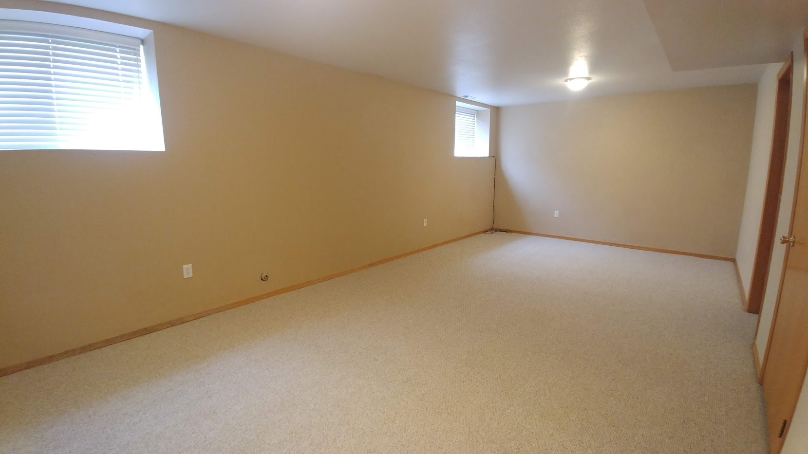 Basement Living Room