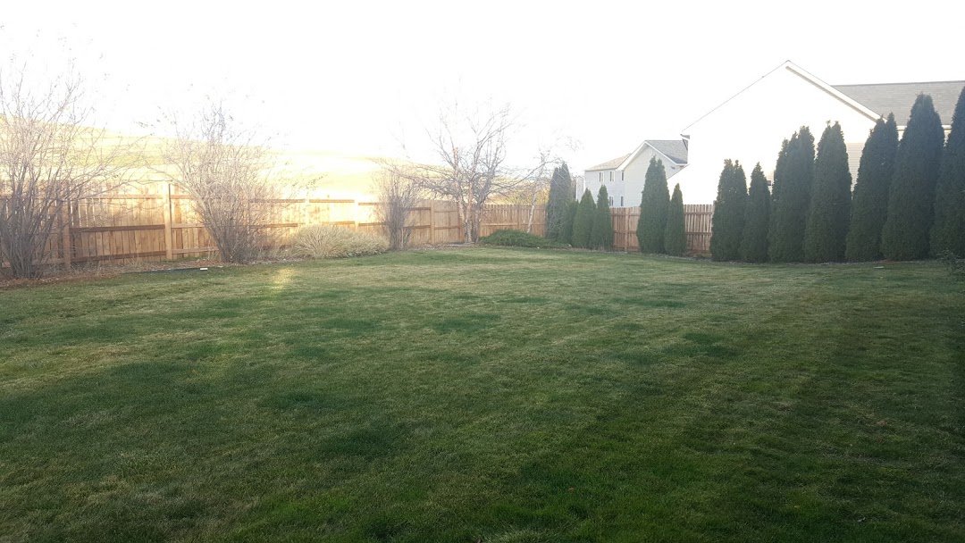 Backyard 2