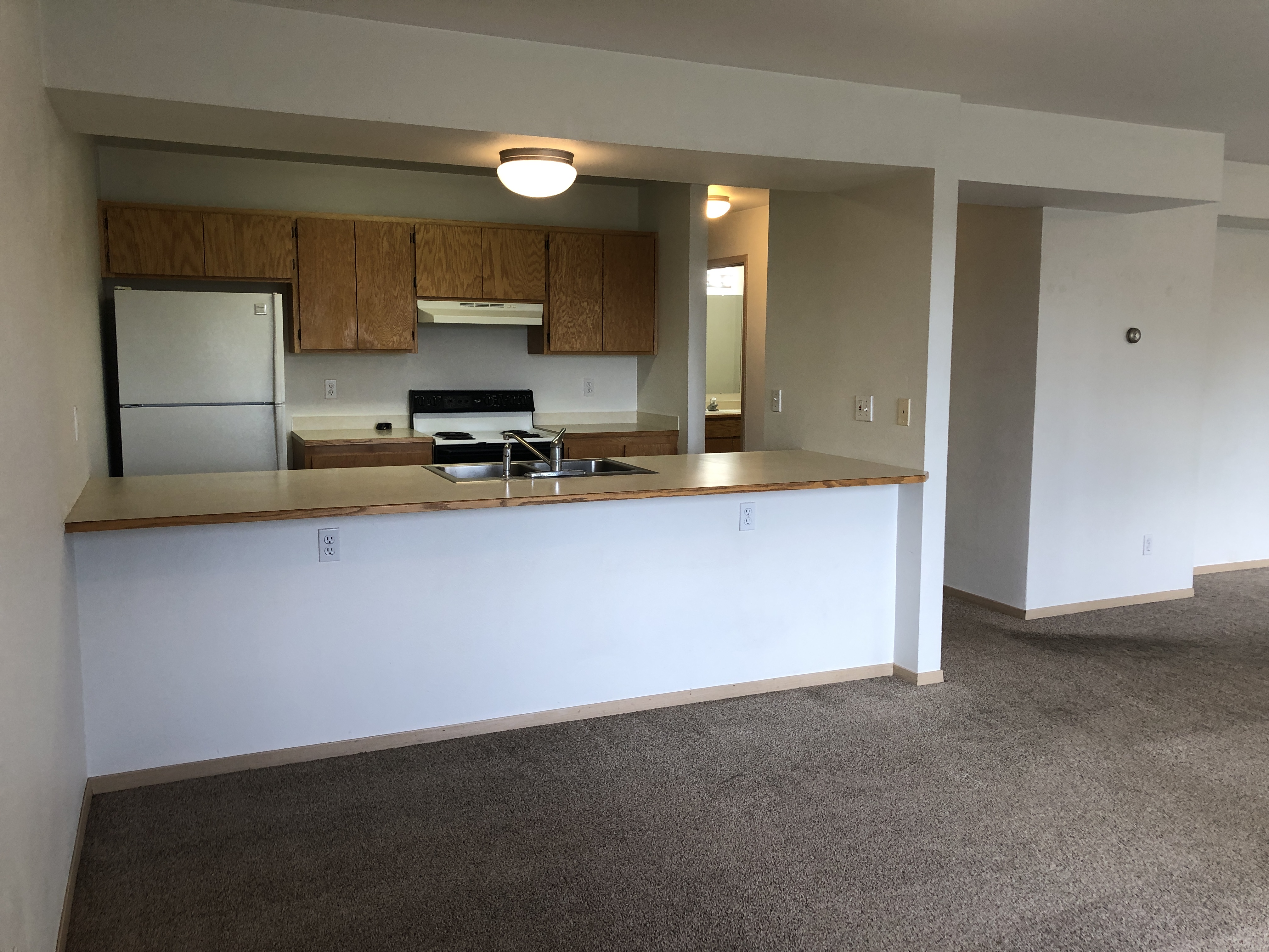Living room to kitchen